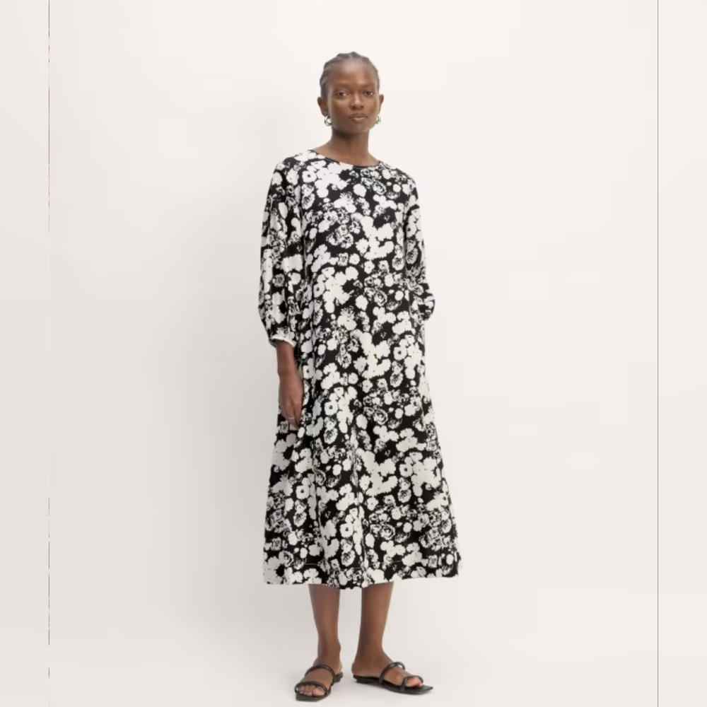 NWT Everlane A Line Linen Dress 00